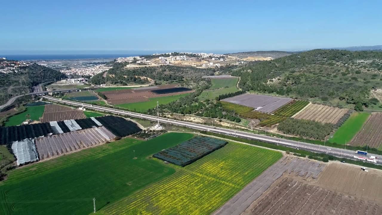image-1-1.jpg